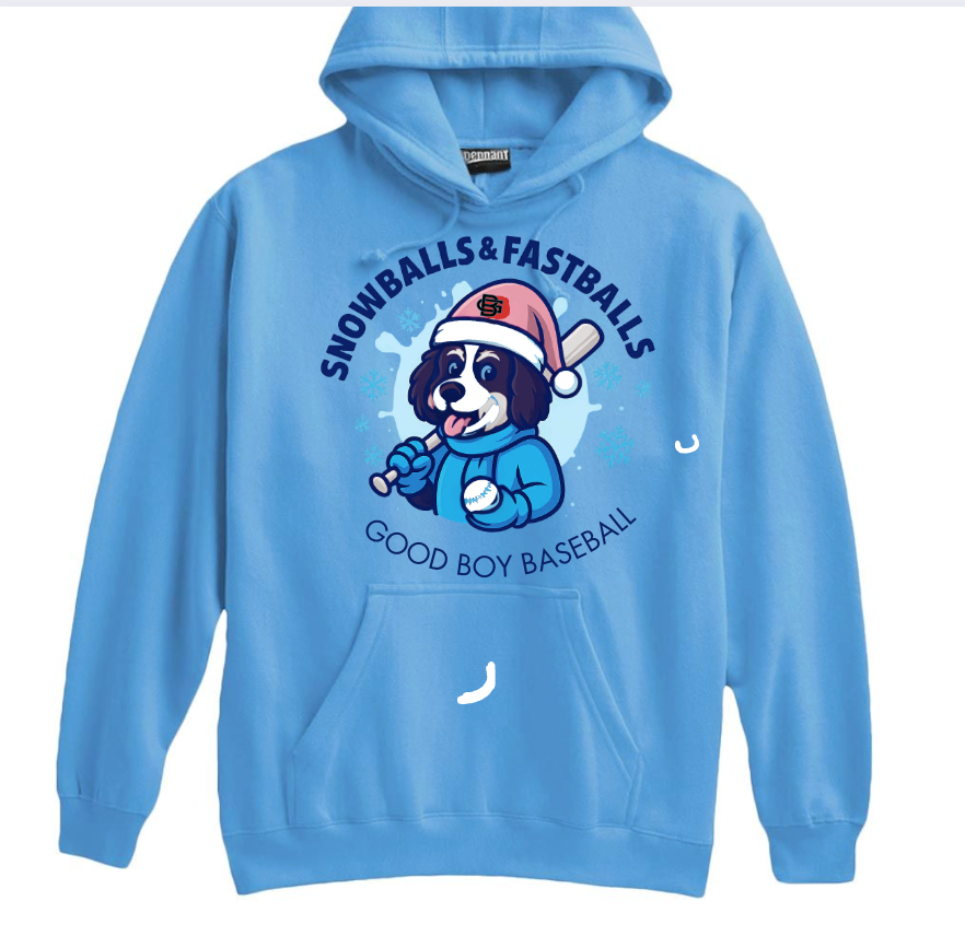 Snowballs and Fastballs Pennant Hoodie Super-10 Hoodie - Good Boy 701