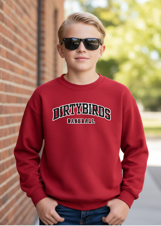 YOUTH/ADULT 2026 Schedule Dirtybirds Crewneck Sweatshirt f18000B RED LEFT CHEST with BACK