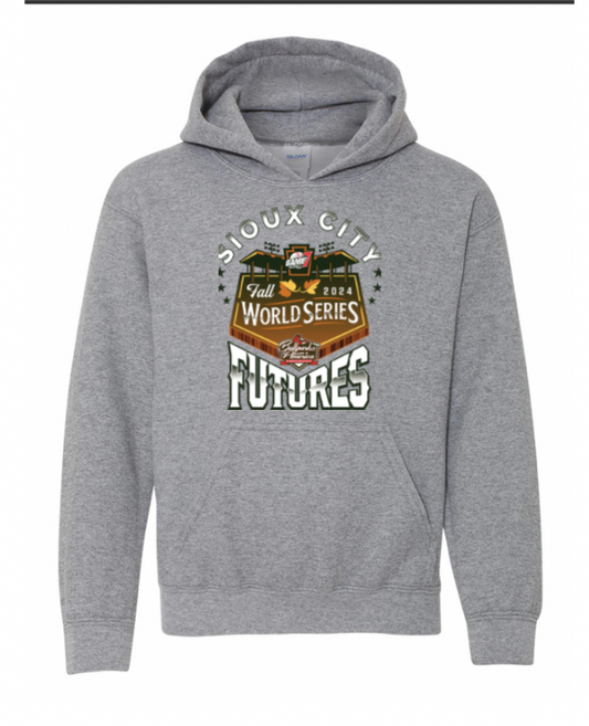 YOUTH Ballparks of America Grey 18500b Hoodie