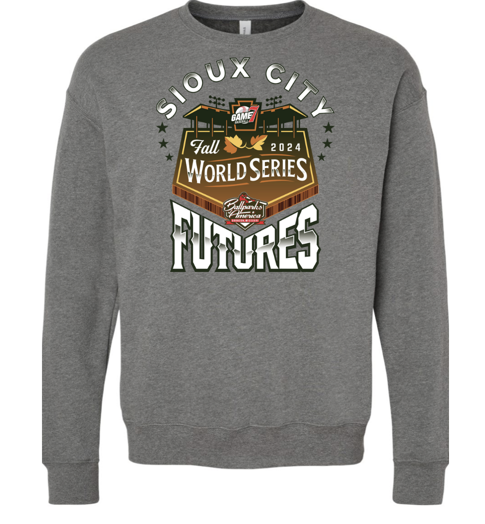 Ballparks of America Bella Canva Sweatshirt 3945  Unisex