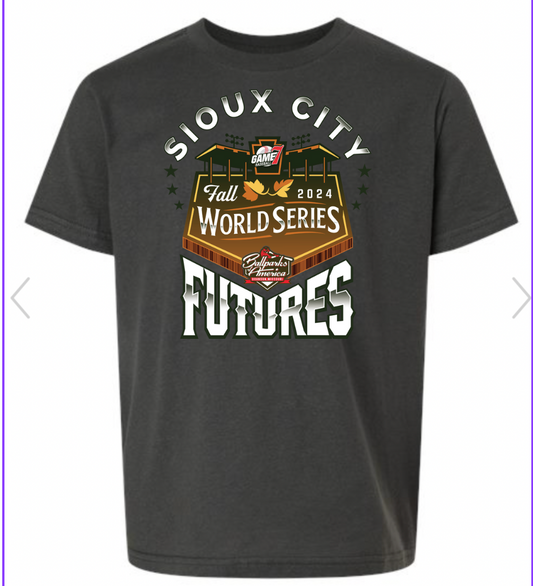 YOUTH Ballparks of America Charcoal Tee 235 Tultex