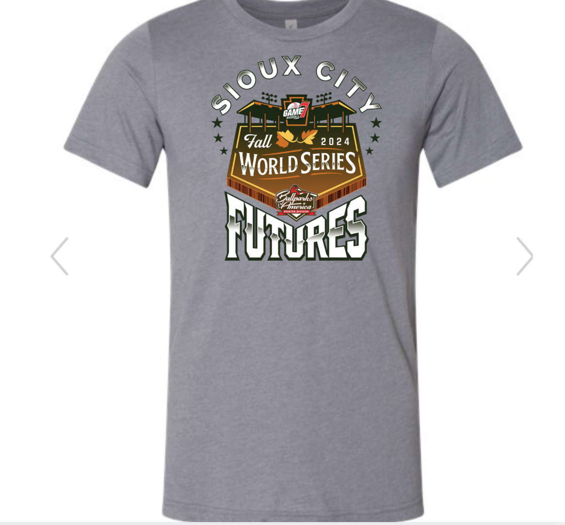 Ballparks of America Bella Canva Tee 2024