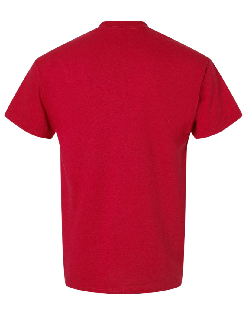 DIRTY BIRDS SCHEDULE T SHIRT