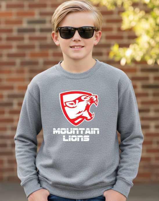 YOUTH MOUNTAIN SWEATSHIRT CREW  MLRED