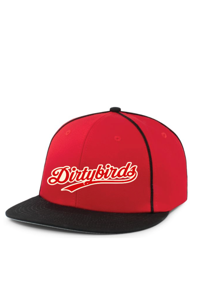 Dirtybird Hat Momentum Team Cap Style # P820