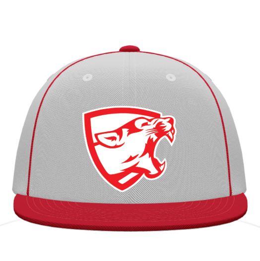 Mountain Lion Pacific Headwear Momentum Team Cap Snapback with RED ML