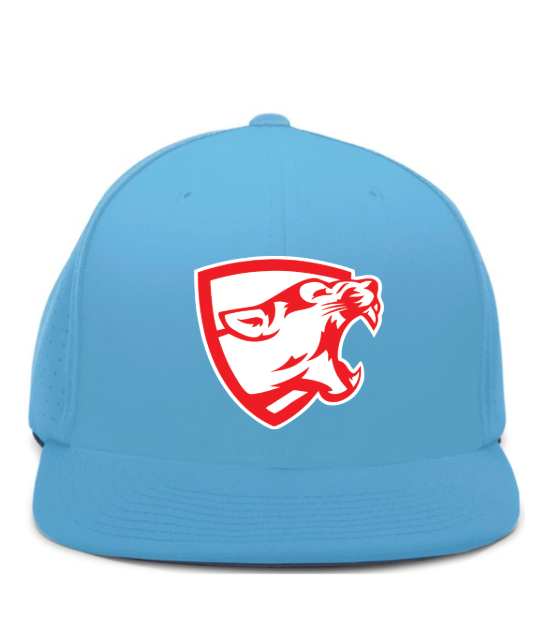 Mountain Lion Carolina Blue  ES474