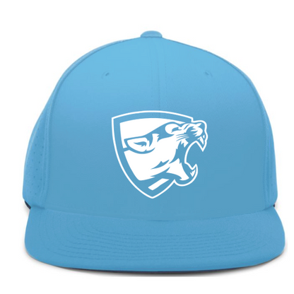 Mountain Lion Carolina Blue  ES474