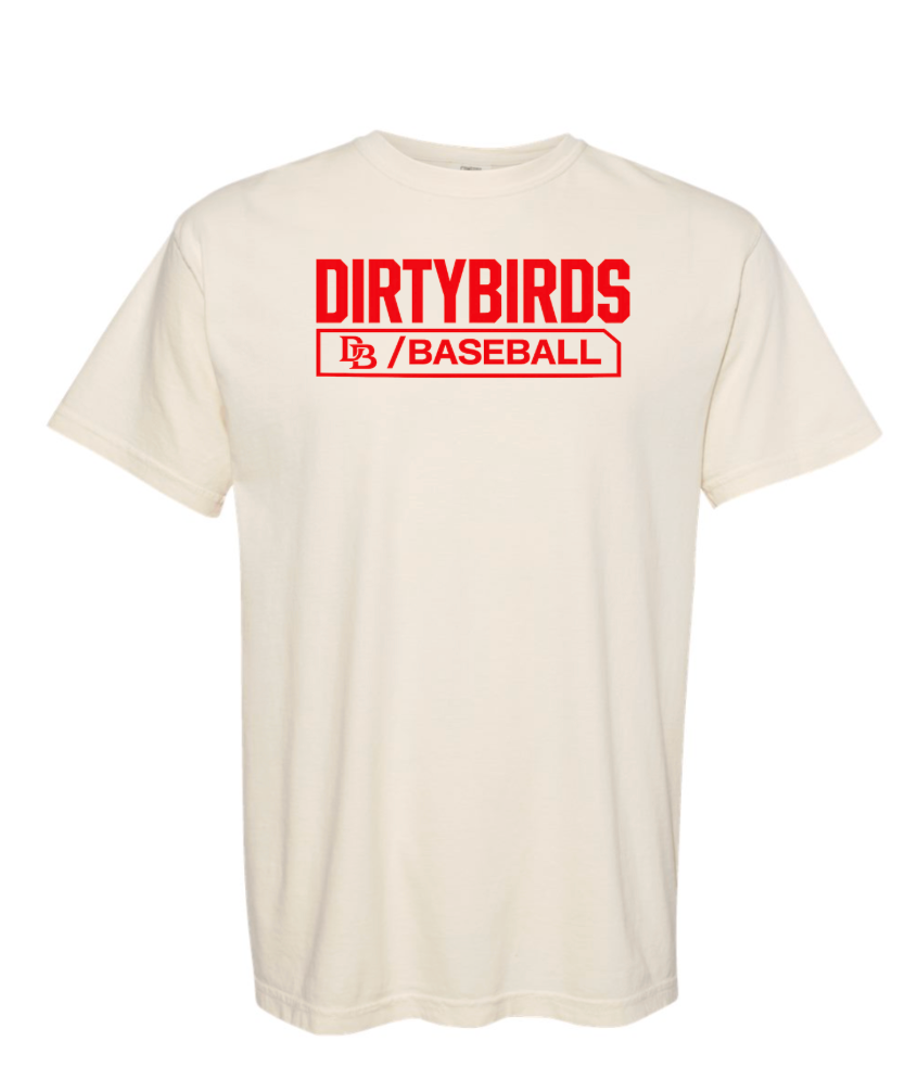 Unisex Ivory Comfort Colors 1717