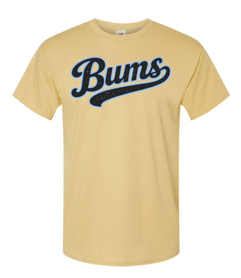 Bums ComfortWash by Hanes Men's Garment-Dyed T-Shirt - GDH100