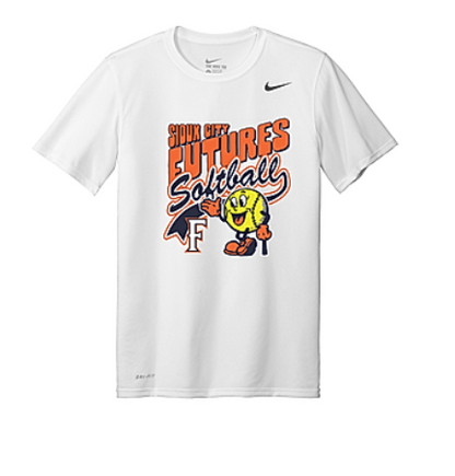 Mens Nike Team Rlegend Tee