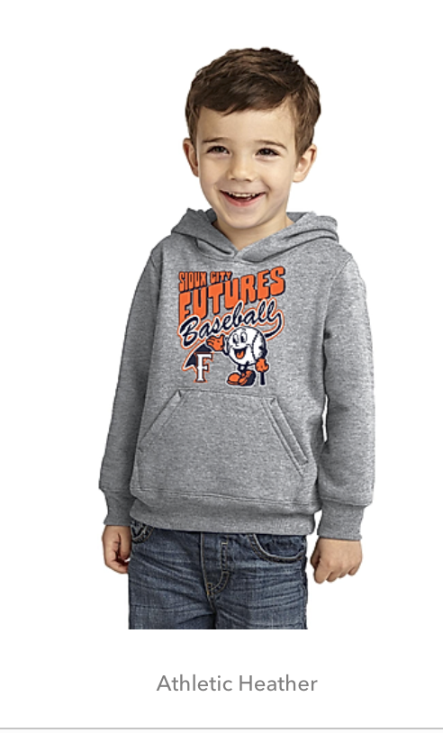 Port & Company Toddler Core Fleece Pullover Hooded Sweatshirt (DTF)