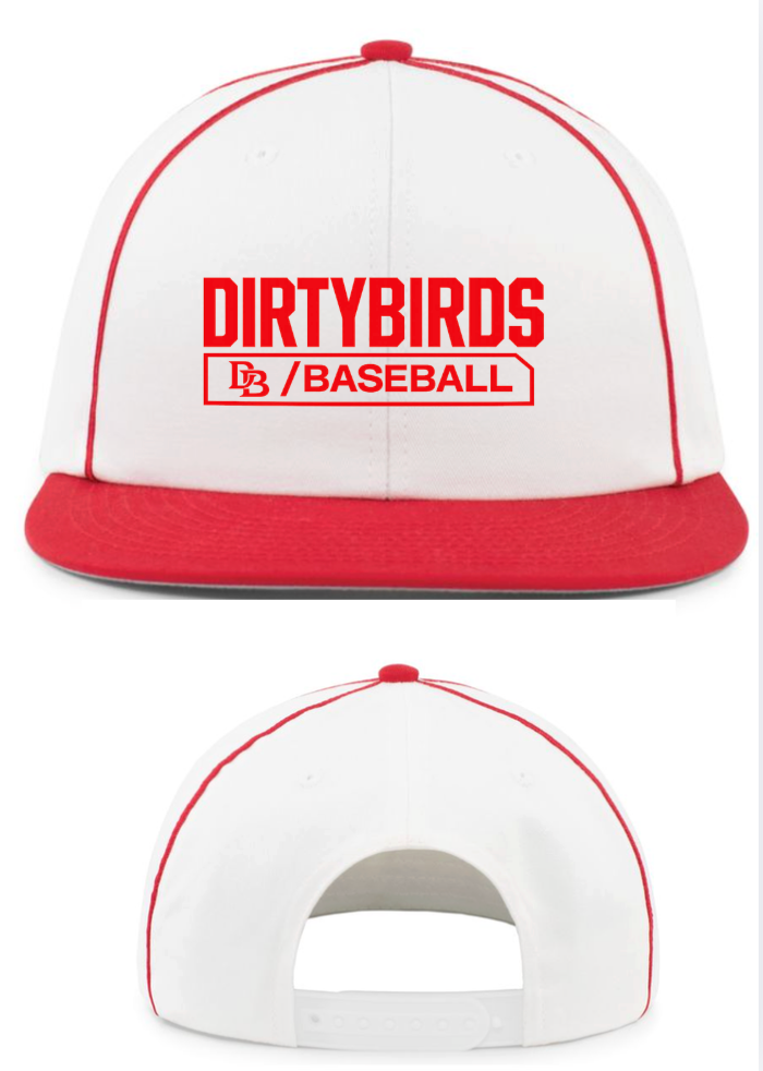 Dirtybird Hat Momentum Team Cap Style # P820 WHITE