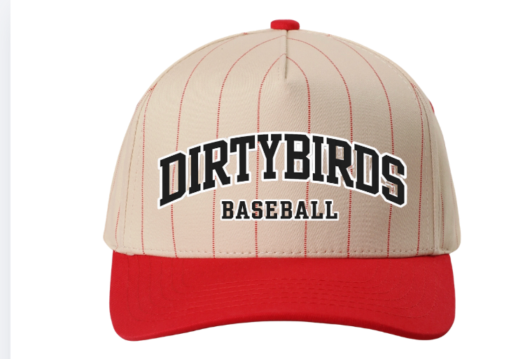 Dirty Bird Trucker Pinstripe Adjustable Hat