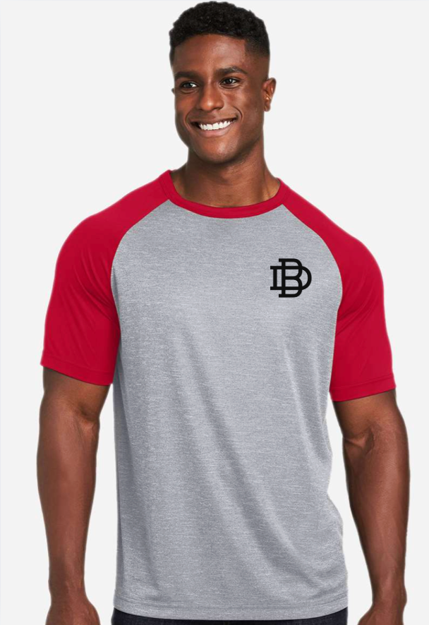 DIRTYBIRD  Unisex Zone Colorblock Raglan T-Shirt - TT62- GREY