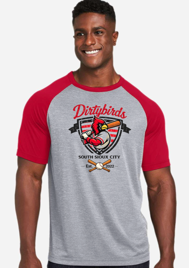 DIRTYBIRD  Unisex Zone Colorblock Raglan T-Shirt - TT62- GREY