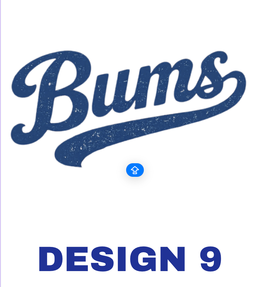 Bums Hoodie 701 Super Blue Jay ( 3 DESIGNS)